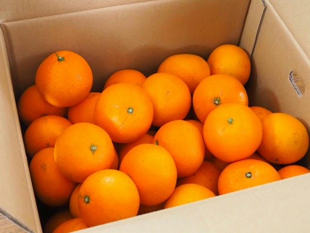 みかんの保管場所はベランダでもいいの？置くメリットや注意点について